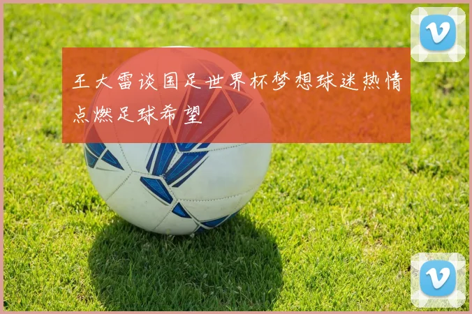 王大雷谈国足世界杯梦想球迷热情点燃足球希望